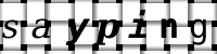 CAPTCHA image